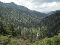 Highlight for Album: Great Smoky Mountains
